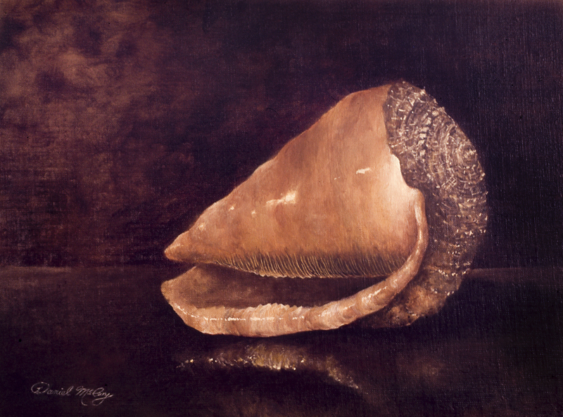 Oil Painting of a Conch Shell