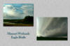 thumbnail for Wetlands